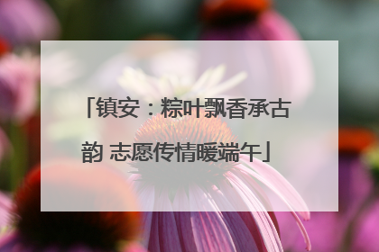 镇安：粽叶飘香承古韵 志愿传情暖端午