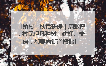 镇村一线话耕保｜周张博：村民但凡种树、建棚、盖房，都要向街道报批