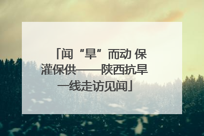 闻“旱”而动 保灌保供——陕西抗旱一线走访见闻