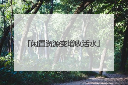 闲置资源变增收活水