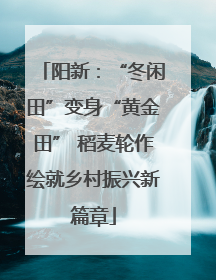 阳新：“冬闲田”变身“黄金田” 稻麦轮作绘就乡村振兴新篇章
