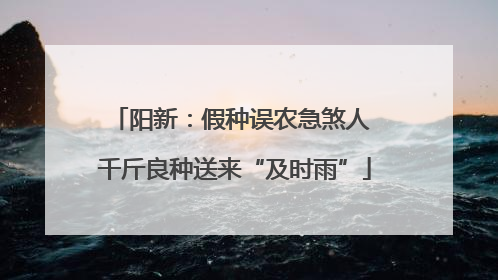 阳新：假种误农急煞人 千斤良种送来“及时雨”