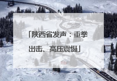 陕西省发声：重拳出击、高压震慑