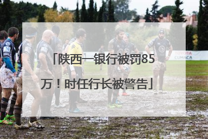 陕西一银行被罚85万！时任行长被警告