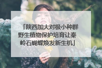 陕西加大对极小种群野生植物保护培育让秦岭石蝴蝶焕发新生机