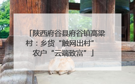 陕西府谷县府谷镇高梁村：乡货“触网出村” 农户“云端致富”