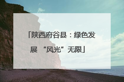 陕西府谷县：绿色发展 “风光”无限
