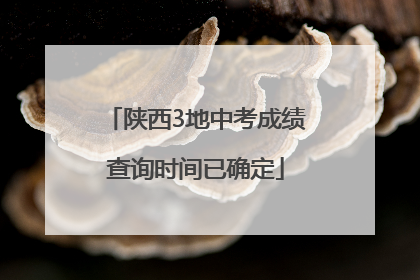 陕西3地中考成绩查询时间已确定