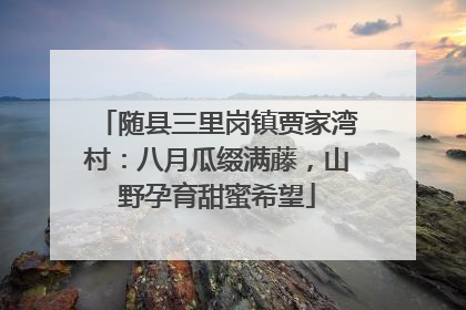 随县三里岗镇贾家湾村：八月瓜缀满藤，山野孕育甜蜜希望