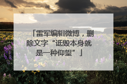 雷军编辑微博，删除文字“诋毁本身就是一种仰望”