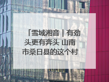 雪域湘音｜有劲头更有奔头 山南市桑日县的这个村落迎来蜕变