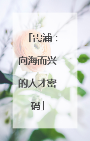 霞浦：向海而兴的人才密码