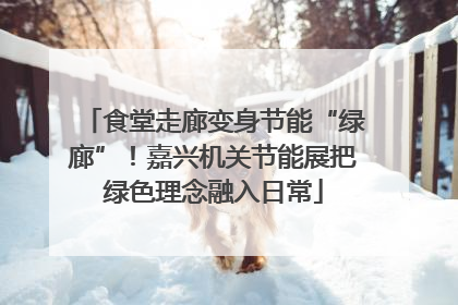 食堂走廊变身节能“绿廊”！嘉兴机关节能展把绿色理念融入日常