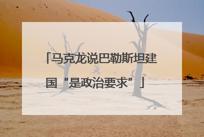 马克龙说巴勒斯坦建国“是政治要求”