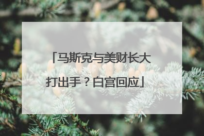 马斯克与美财长大打出手？白宫回应