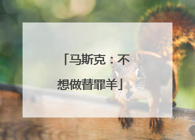 马斯克：不想做替罪羊
