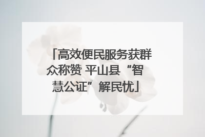 高效便民服务获群众称赞 平山县“智慧公证”解民忧