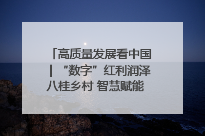 高质量发展看中国｜“数字”红利润泽八桂乡村 智慧赋能绘就振兴画卷