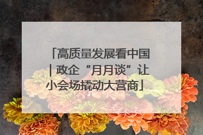 高质量发展看中国｜政企“月月谈”让小会场撬动大营商