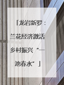 龙岩新罗：兰花经济激活乡村振兴“一池春水”