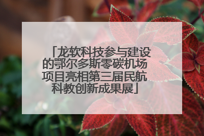 龙软科技参与建设的鄂尔多斯零碳机场项目亮相第三届民航科教创新成果展