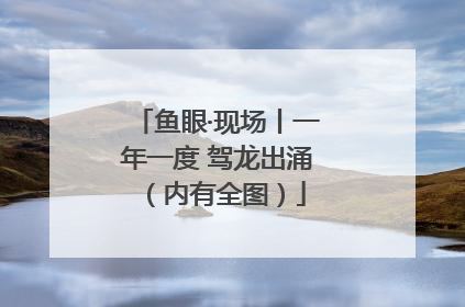 鱼眼·现场丨一年一度 驾龙出涌（内有全图）