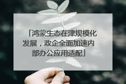 鸿蒙生态在津规模化发展，政企全面加速内部办公应用适配