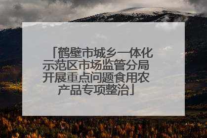 鹤壁市城乡一体化示范区市场监管分局开展重点问题食用农产品专项整治