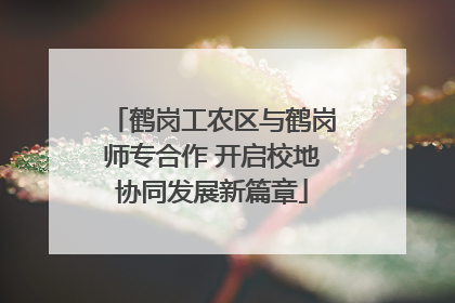 鹤岗工农区与鹤岗师专合作 开启校地协同发展新篇章