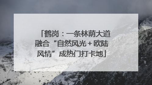 鹤岗：一条林荫大道融合“自然风光＋欧陆风情”成热门打卡地