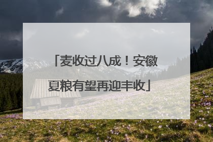 麦收过八成！安徽夏粮有望再迎丰收