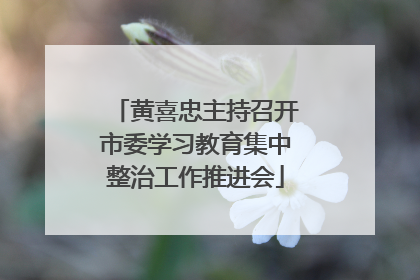 黄喜忠主持召开市委学习教育集中整治工作推进会