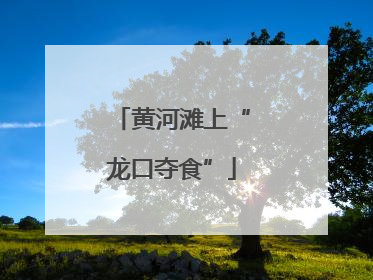 黄河滩上“龙口夺食”