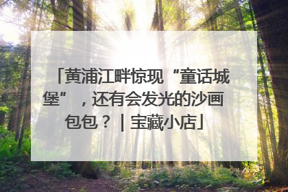 黄浦江畔惊现“童话城堡”，还有会发光的沙画包包？｜宝藏小店