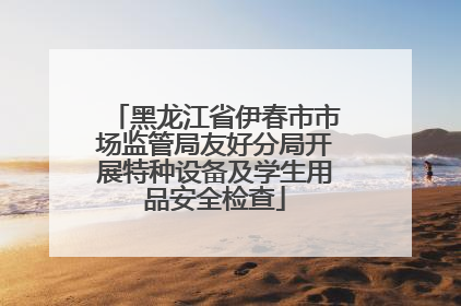 黑龙江省伊春市市场监管局友好分局开展特种设备及学生用品安全检查