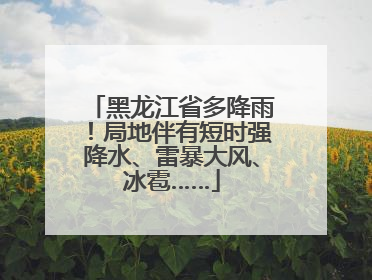 黑龙江省多降雨！局地伴有短时强降水、雷暴大风、冰雹……