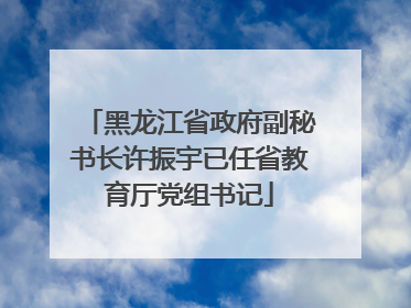 黑龙江省政府副秘书长许振宇已任省教育厅党组书记