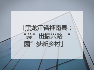 黑龙江省桦南县：“蒜”出振兴路 “园”梦新乡村