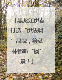 黑龙江伊春打造“伊法调”品牌，绘就林都新“枫”景！