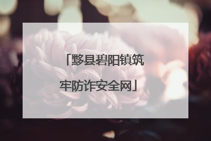 黟县碧阳镇筑牢防诈安全网