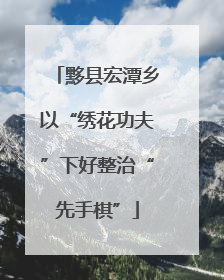 黟县宏潭乡以“绣花功夫”下好整治“先手棋”