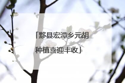 黟县宏潭乡元胡种植喜迎丰收