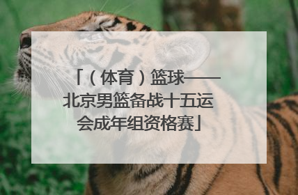 （体育）篮球——北京男篮备战十五运会成年组资格赛
