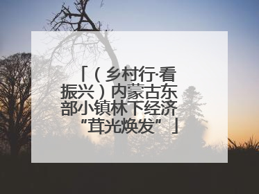 （乡村行·看振兴）内蒙古东部小镇林下经济“茸光焕发”