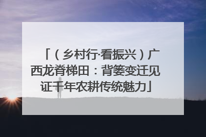 （乡村行·看振兴）广西龙脊梯田：背篓变迁见证千年农耕传统魅力