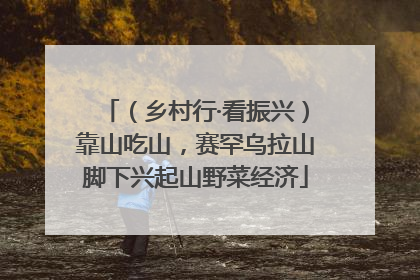 （乡村行·看振兴）靠山吃山，赛罕乌拉山脚下兴起山野菜经济
