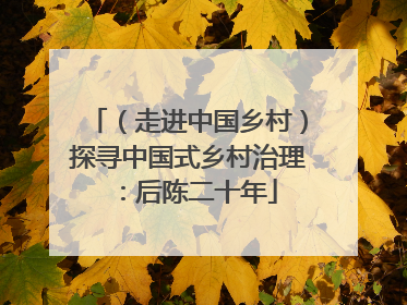 （走进中国乡村）探寻中国式乡村治理：后陈二十年