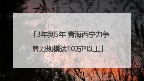 3年到5年 青海西宁力争算力规模达10万P以上