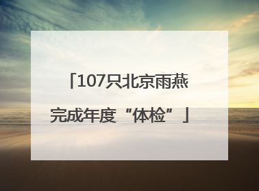 107只北京雨燕完成年度“体检”