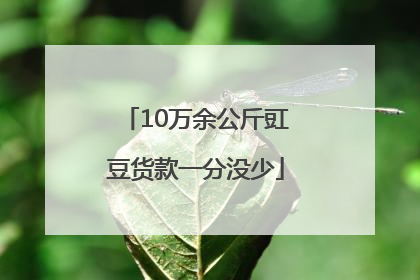 10万余公斤豇豆货款一分没少